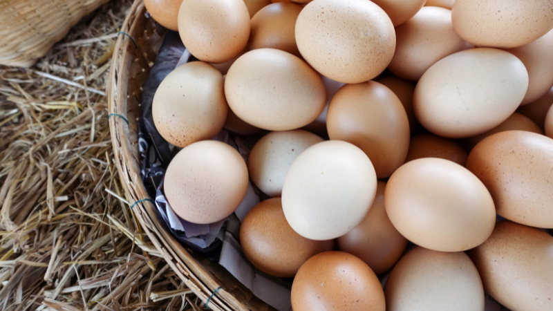 Explore the Bounty: Spring Delights at St. Louis Farmers Markets | RedKey Realty Leaders